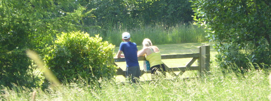 a lazy sunny afternoon